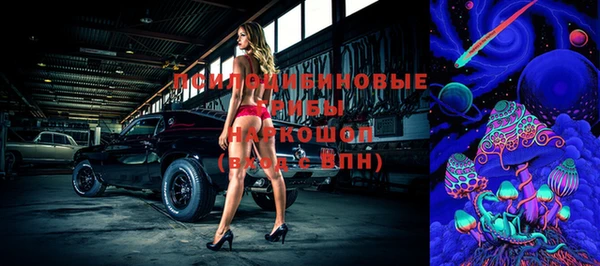 меф Арсеньев