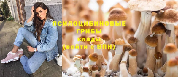 бутират Аркадак