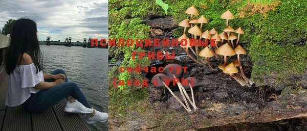 меф Арсеньев